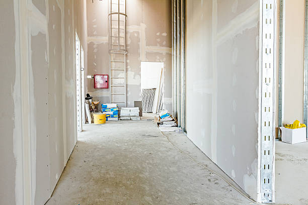 Best Drywall for New Construction  in Bellevle, IL